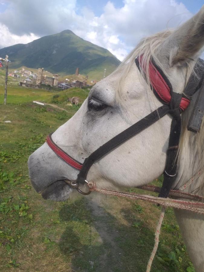 Vila Latphari In Ushguli Dış mekan fotoğraf