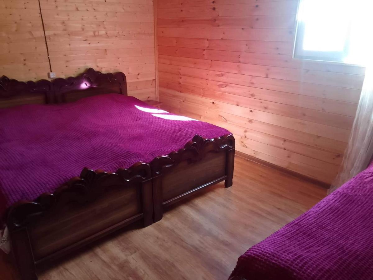 Vila Latphari In Ushguli Dış mekan fotoğraf