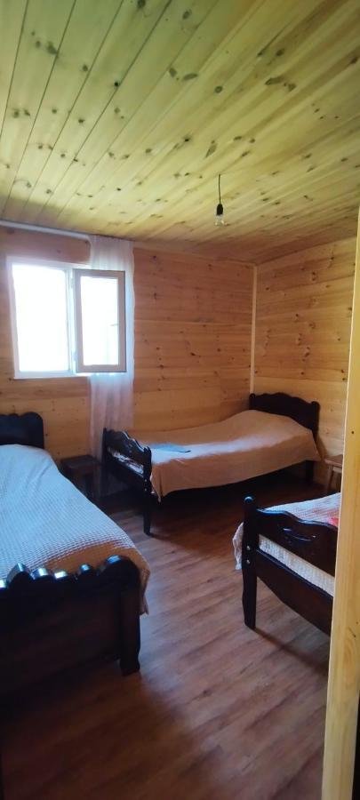 Vila Latphari In Ushguli Dış mekan fotoğraf